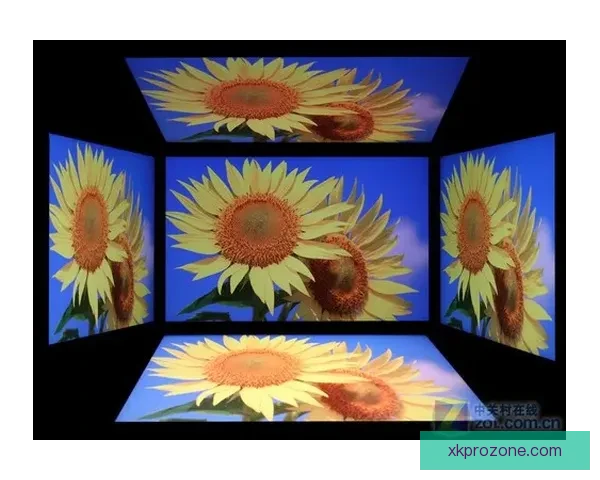 星空体育深度点评与赛事分析全面解读最新体育动态